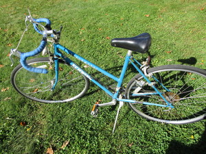 lot 20 image: Schwinn Bicycle