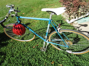 lot 21 image: Schwinn Bicycle