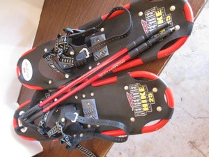 lot 9 image: Snow Shoes