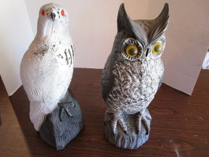 lot 217 image: Owl & Falcon Decoys