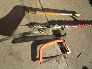 lot 79 image: Pole Saw, Machete