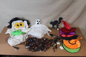 lot 78 image: Halloween Decor Collection with Inflatables, Witch Hats, and String Lights
