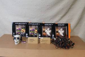 lot 98 image: Halloween Decor Bundle with Lighted Signs, Skull, and Orange String Lights