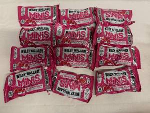 lot 13 image: 12x Willey Wallaby Minis-Watermelon