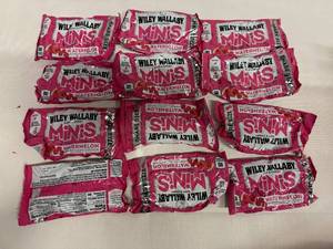 lot 15 image: 12x Willey Wallaby Minis-Watermelon