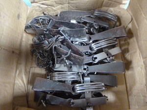 lot 29 image: Case of Oneida Victor #1 Long Spring Traps