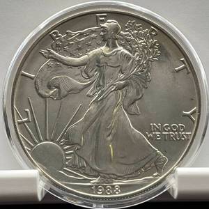 lot 36 image: 1988 American Silver Eagle