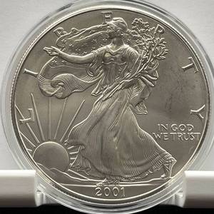 lot 44 image: 2001 American Silver Eagle