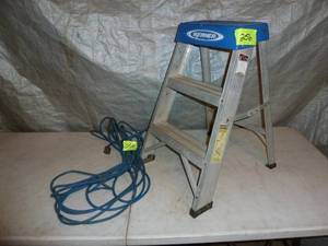 lot 256 image: Werner Step Ladder 2