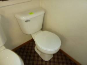 lot 313 image: Mansfield Regular Toilet