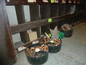 lot 319 image: Copper Fittings Bottom 2 Rows of Bins & Organizers on floor