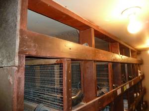 lot 354 image: Bins PVC Fittings Top 2 Rows