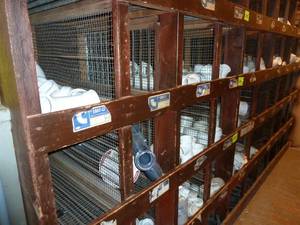 lot 356 image: Bins PVC 2 Middle Rows