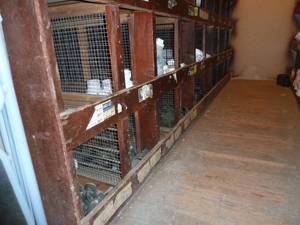 lot 357 image: Bins PVC Fittings Bottom 2 Rows