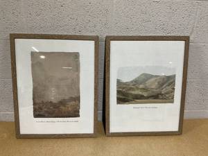 lot 270 image: LOT of 2 Framed Wall Decor, Measures 16 x  20