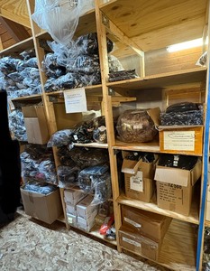 lot 137 image: 3 shelves of camp hunting gear