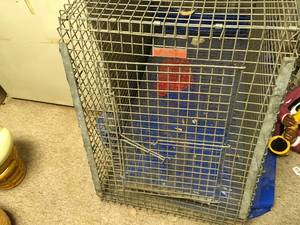 lot 312 image: Dog Kennel