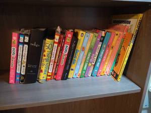 lot 141 image: Kids Book Lot