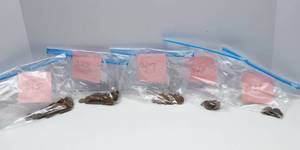lot 135 image: 19451949 Pennies  Coin Collector Alert