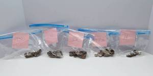 lot 144 image: 19501954 Pennies  Coin Collector Alert