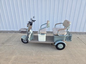 lot 13 image: 2025 SDLANCH Electric Tricycle Mini Golf Cart (IRGC40)