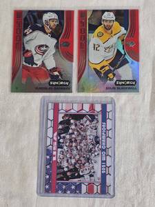 lot 303 image: Lot of 3 Hockey Cards Featuring Colin Blackwell, Vladislav Gavrikov, and 2021 WJC Champions USA Team
