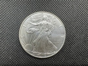lot 81 image: 2018 BU I Oz. Silver American Eagle From Mint Tube