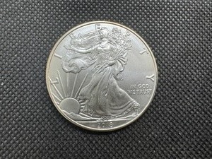 lot 85 image: 2018 BU I Oz. Silver American Eagle From Mint Tube