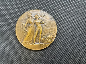 lot 14 image: Antique Cloudray Bronze Medal