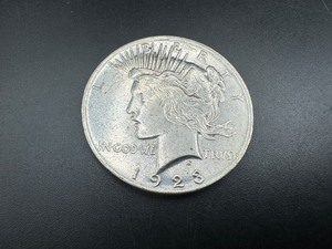lot 49 image: 1923 Peace Silver Dollar