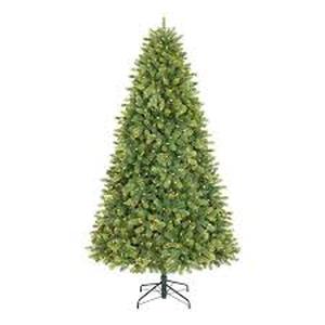 lot 31 image: Home Accents Holiday 7.5 ft. Willow Creek Spruce LED Pre-Lit Artificial Christmas Tree T14 Customer Returns See Pictures