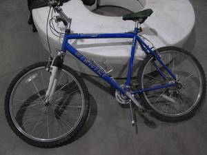 lot 113 image: Mens Nishiki Manitoba Main Tubes C...