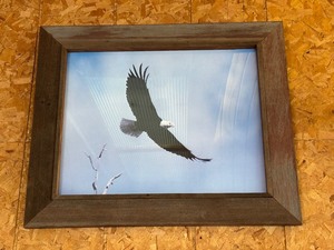 lot 30 image: Flying Eagle Framed Photo