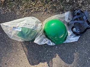 lot 105 image: Type 1 Protective Helmet (Qty 2)