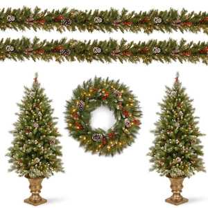 lot 113 image: National Tree Company Frosted Berry Assortment Two 4 ft. Entrance Trees with Clear Lights and 24 in. Wreath with Warm White Light
