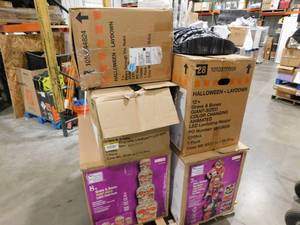 lot 10 image: Halloween Blowout Sale  Pallet of Store Returns