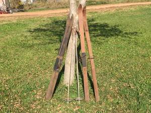 lot 264 image: Antique Wooden Skis - Including Lund - with Poles