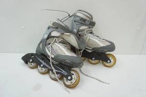 lot 122 image: roller blades