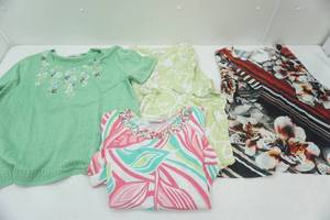 lot 124 image: Womens Tops Size 1X (C.J. Banks & Alfred Dunner)