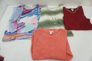 lot 125 image: Womens Tops Size 1X (C.J. Banks & Alfred Dunner)