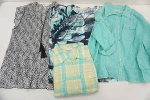 lot 127 image: Womens Tops Size XL1X (C.J. Banks)