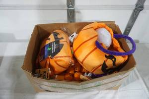 lot 231 image: NEW Halloween Lights, Plush Pumpkin Toys, Press-On Nails, Nail Polish and More