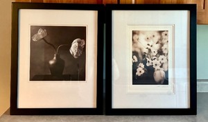 lot 23 image: FLR - Pair of Thea Schrack Framed Floral Art Prints
