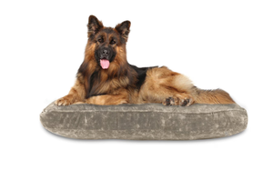 lot 76 image: Canine Creations Orthopedic Foam Pillow Pet Bed, 45 x 36 Tan