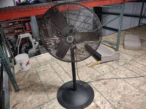 lot 519 image: 30 Pedestal Fan...
