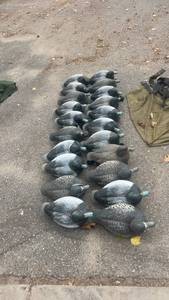 lot 405 image: Set of 20 Duck Hunting Decoys with Mesh Carry Bag