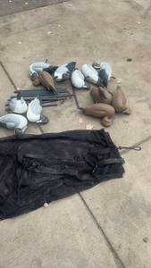 lot 406 image: Set of Duck Decoys with Poles and Mesh Carry Bag