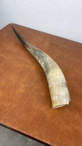 lot 849 image: Decorative Natural Steer Horn 27 Inches
