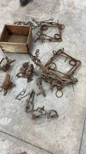 lot 1831 image: Collection of Vintage Animal Traps and Wooden Box