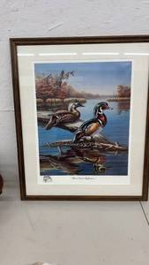 lot 1872 image: Wood Duck Reflections Framed Print by David A. Maass